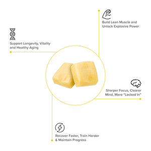 Creatine Monohydrate Chews