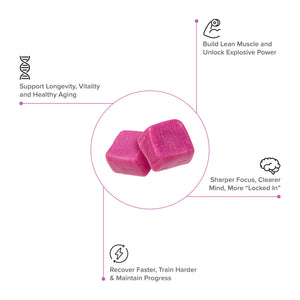 Two Inno Supps Creatine Monohydrate Chews with icons illustrating muscle support, recovery, focus, and healthy aging benefits.