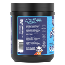 Load image into Gallery viewer, 2 Bottles of Plant-Powered Protein + Multivitamin Gummies For Kids